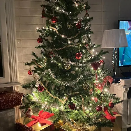 Northernlightroad Rovaniemi