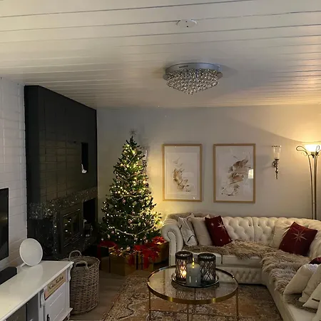 Northernlightroad * 罗瓦涅米