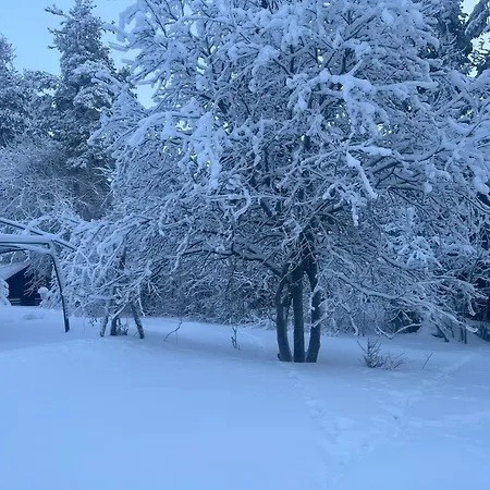 公寓 Northernlightroad 罗瓦涅米