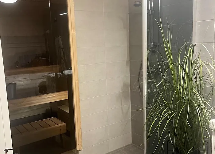 Northernlightroad 罗瓦涅米