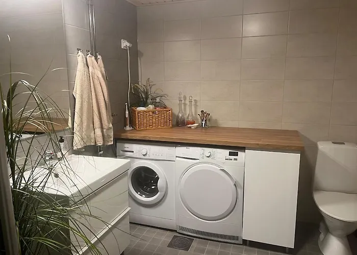 Northernlightroad 公寓 罗瓦涅米