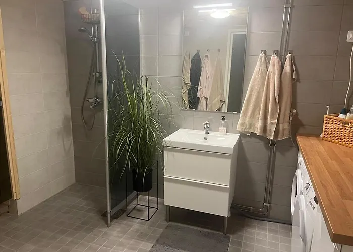 Northernlightroad * 罗瓦涅米