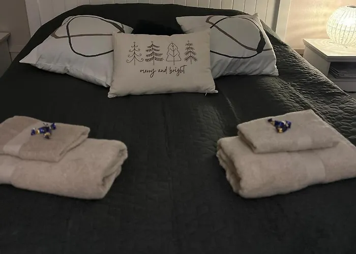 Northernlightroad 公寓 罗瓦涅米