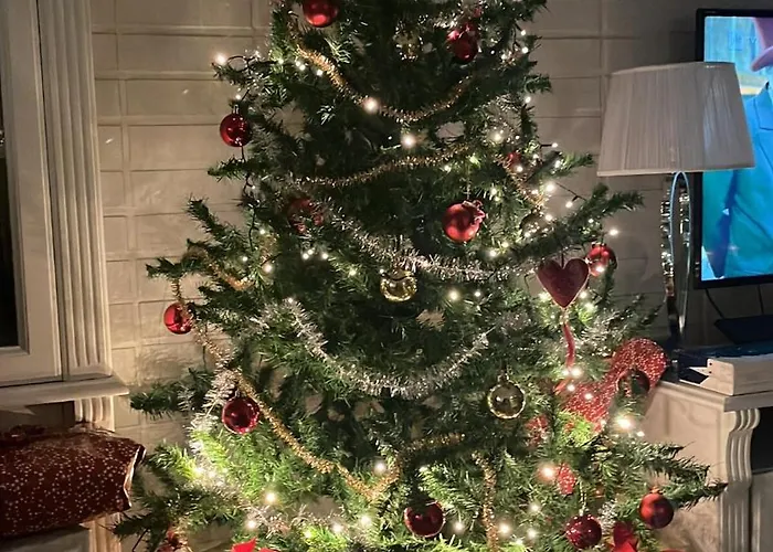 Northernlightroad 罗瓦涅米