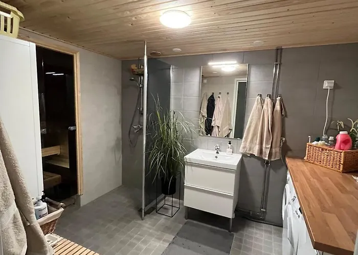 Northernlightroad * 罗瓦涅米