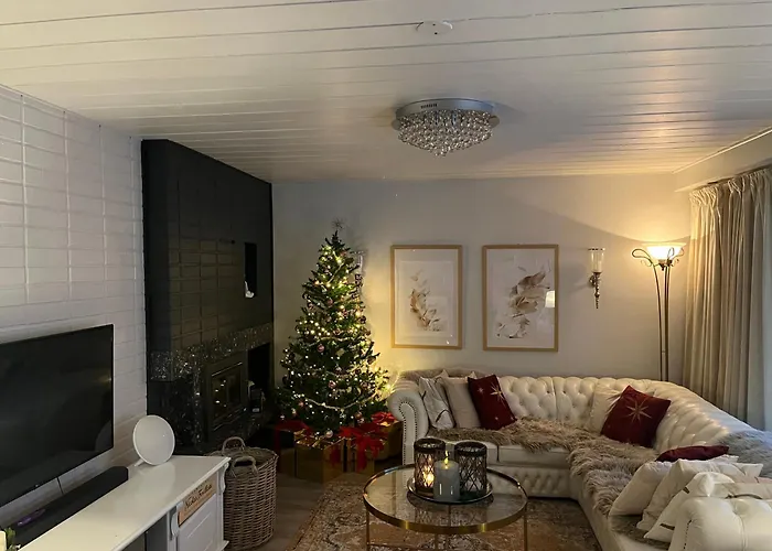 Northernlightroad * 罗瓦涅米