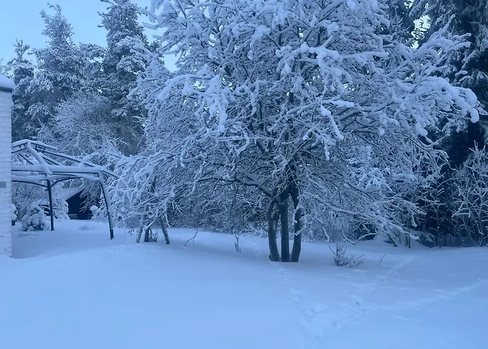 公寓 Northernlightroad 罗瓦涅米