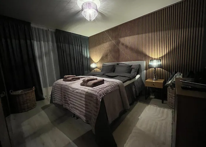 Northernlightroad * 罗瓦涅米