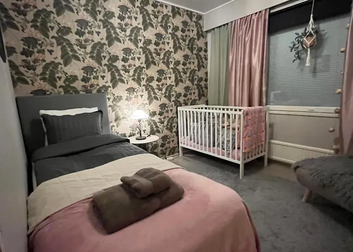 Northernlightroad * 罗瓦涅米